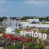 Genting Singapore Distributes $213M Dividend, Sets Sights on Japan